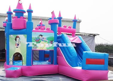 Digital Print Inflatable Jumping Castle / Jump And Slide Doll House