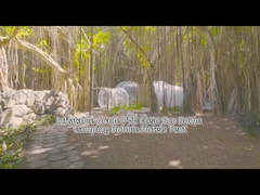 Πνευματώδης σκηνή ξενοδοχείου Bubble House