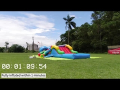 Βασιλιά 31 Xiangqing