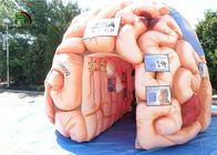 Γιγαντιαία 4m διογκώσιμα τεχνητά όργανα αντιγράφου εγκεφάλου για εκπαιδευτικό SGS EN71