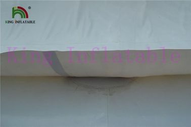 0.9mm PVC γιγαντιαίο παγόβουνο παιχνιδιών νερού μουσαμάδων άσπρο/πράσινο διογκώσιμο για το πάρκο νερού