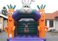 Το κόμμα χρησιμοποίησε το μικρό διογκώσιμο άλμα Castle παιδιών με το καρότο και το κουνέλι 4X4M